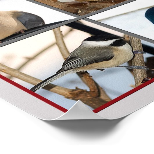 羽の鳥(POSTER) ポスター (角)