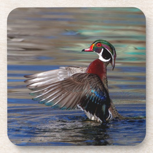 羽ばたきウッドアヒル コースター (正面)