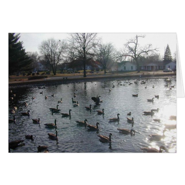 羽ばたきグースカード (正面横)