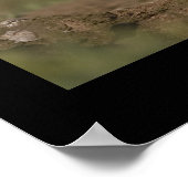 羽ばたきパフィン ポスター (角)