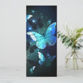 羽ばたき夜蝶 アドバイスカード (スタンド正面)