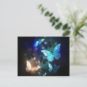 羽ばたき夜蝶 インビテーションポストカード (スタンド正面)
