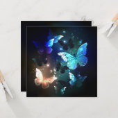 羽ばたき夜蝶 カード (正面/裏面インサイチュ)