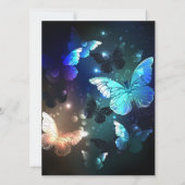 羽ばたき夜蝶 シーズンカード (正面)