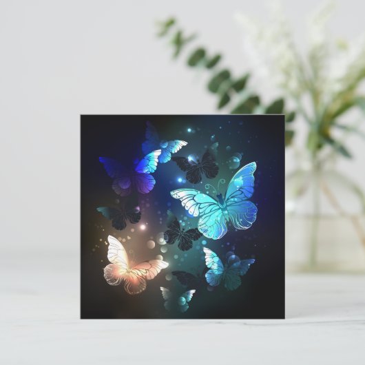 羽ばたき夜蝶 シーズンカード (スタンド正面)