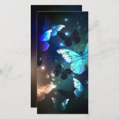 羽ばたき夜蝶 シーズンカード (正面/裏面)