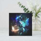 羽ばたき夜蝶 セーブザデート (スタンド正面)