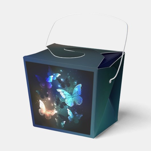羽ばたき夜蝶 フェイバーボックス (正面サイド)