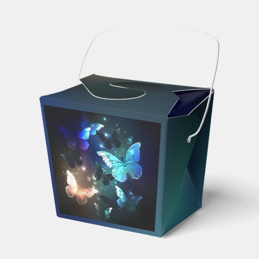 羽ばたき夜蝶 フェイバーボックス (正面サイド)