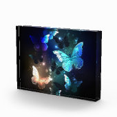 羽ばたき夜蝶 フォトブロック (右)