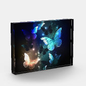 羽ばたき夜蝶 フォトブロック (左)