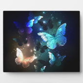 羽ばたき夜蝶 フォトプラーク (正面)
