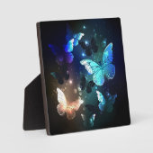 羽ばたき夜蝶 フォトプラーク (正面)