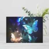 羽ばたき夜蝶 プログラム (スタンド正面)