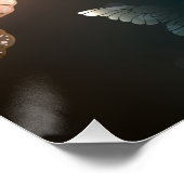 羽ばたき夜蝶 ポスター (コーナー)