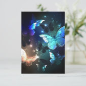 羽ばたき夜蝶 案内状 (スタンド正面)