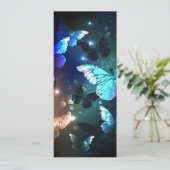 羽ばたき夜蝶 案内状 (スタンド正面)