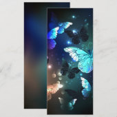 羽ばたき夜蝶 案内状 (正面/裏面)