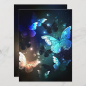 羽ばたき夜蝶 案内状 (正面/裏面)