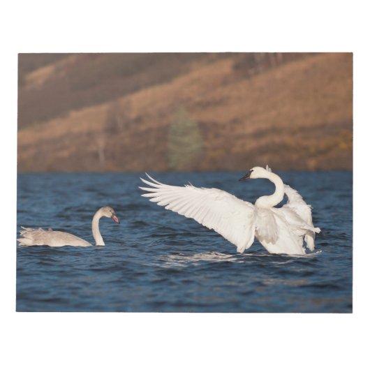 羽ばたき白鳥 ノートパッド (正面)