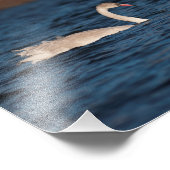 羽ばたき白鳥 フォトプリント            (角)