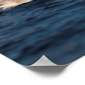 羽ばたき白鳥 ポスター (角)