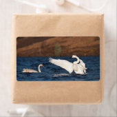 羽ばたき白鳥 ラベル (インサイチュ)