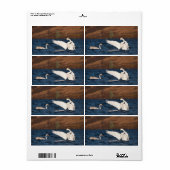 羽ばたき白鳥 ラベル (フルシート)