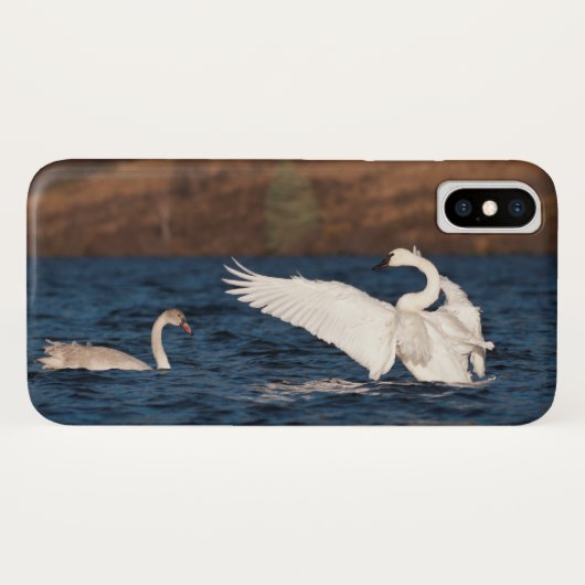 羽ばたき白鳥 Case-Mate iPhoneケース (裏面(横))