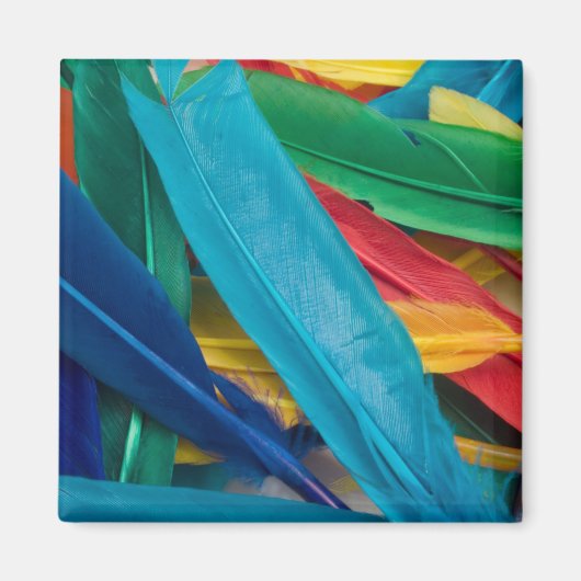 羽ばたき磁石 マグネット (正面)