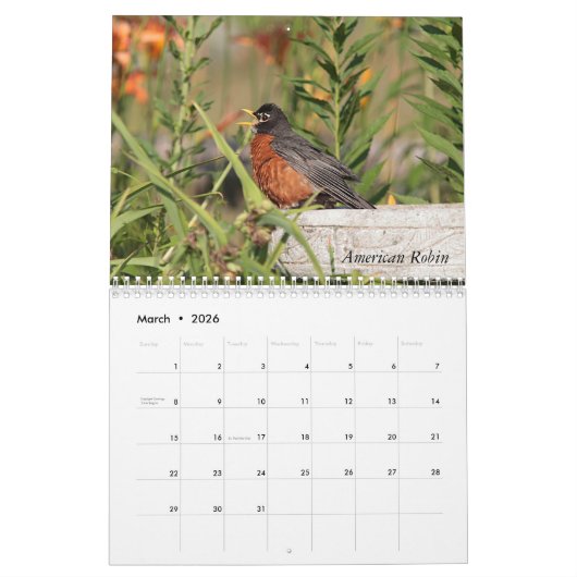 羽をつけられた友人-野生の鳥 カレンダー (3月 2026)