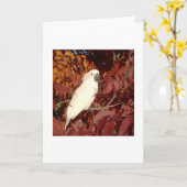 羽をつけられた家族のオウムのメッセージカード カード (黄色い花)