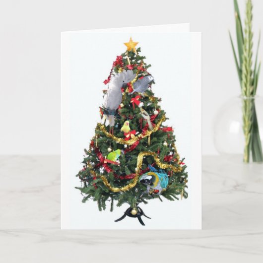 羽をつけられた家族のクリスマスカード シーズンカード (正面)