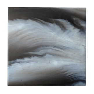 羽をつけられた黒い瑪瑙のカッコいいの自然な石 タイル