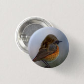 "羽をつけられた"ボタン 缶バッジ (正面&裏面)
