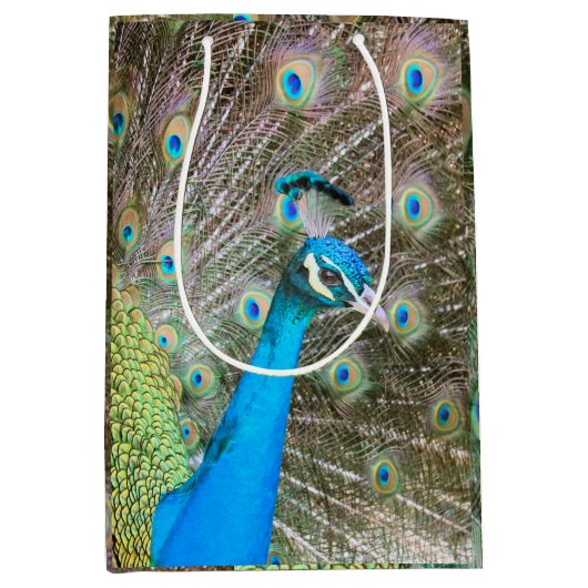 羽をファンアウトした孔雀 – 野生動物写真 ミディアムペーパーバッグ (正面)