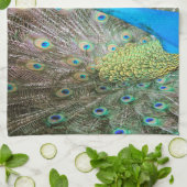 羽をファンインした孔雀 – ワイルドライフバード写真 キッチンタオル (折り畳み)