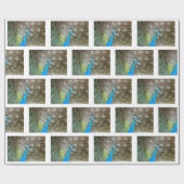 羽をファンインした孔雀 – ワイルドライフバード写真 ラッピングペーパー (フラット)