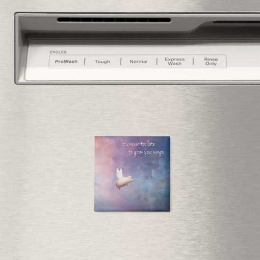 羽を伸ばす マグネット (インサイチュ (食洗機))