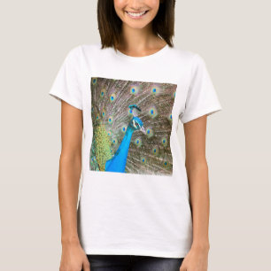 羽を出した孔雀 – 雄の鳥 – 写真 Tシャツ