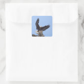 羽を広げたハクトウワシ (Haliaeetus leucocephalus) スクエアシール (バッグ)