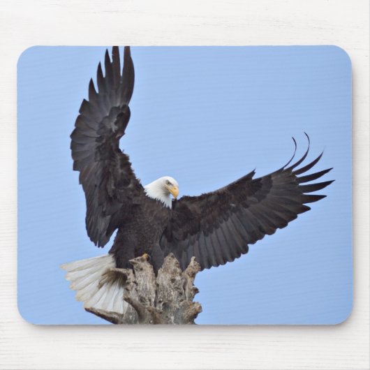 羽を広げたハクトウワシ (Haliaeetus leucocephalus) マウスパッド (正面)