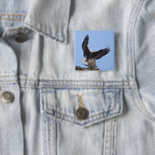 羽を広げたハクトウワシ (Haliaeetus leucocephalus) 缶バッジ (インサイチュ)