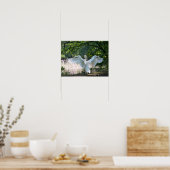 羽を広げた白鳥 ポスター (キッチン)