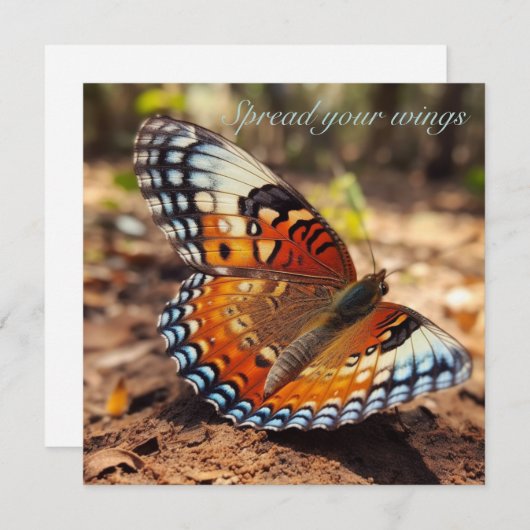 羽を広げる蝶 招待状 (正面/裏面)
