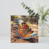 羽を広げる蝶 招待状 (スタンド正面)