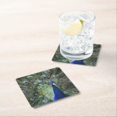 羽を持つ孔雀のポートレート スクエアペーパーコースター (インサイチュ)