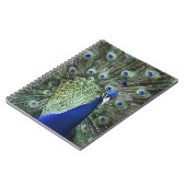 羽を持つ孔雀のポートレート ノートブック (左側)