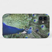 羽を持つ孔雀のポートレート Case-Mate iPhoneケース (裏面(横))