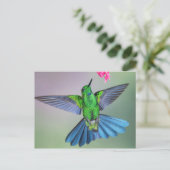 羽を開けて飛行する鮮やかなハミングバード ポストカード (スタンド正面)